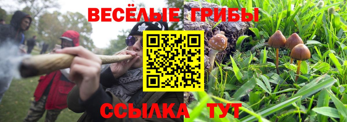 Псилоцибиновые грибы прущие грибы  Вход с VPN  где купить наркоту  Ставрополь 