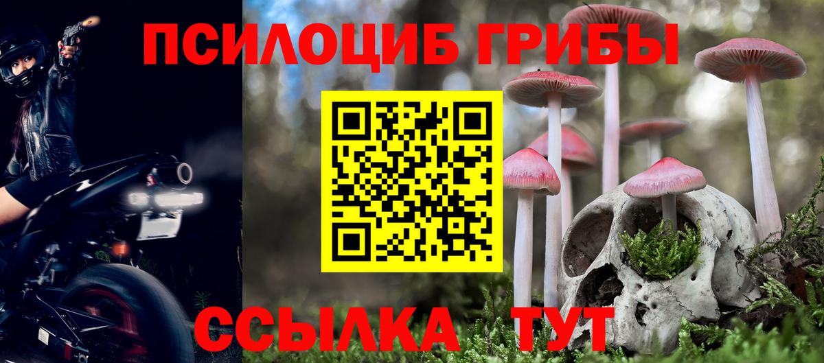 Галлюциногенные грибы прущие грибы Ставрополь
